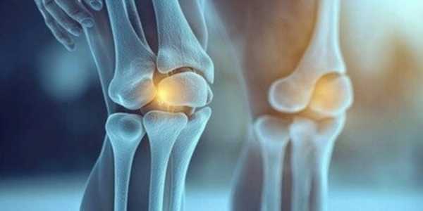 Essential Supplements To Support And Improve Joint Health