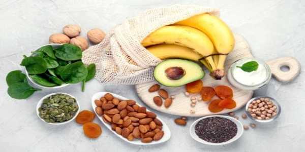 Understanding Macronutrients: Proteins, Carbs, and Fats